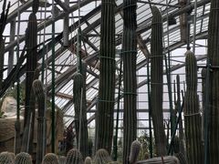 -南山植物园