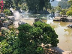 -东莞植物园