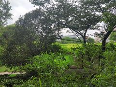 -嘉定紫藤园