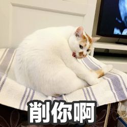 点击看大图 -3AM HAIR SALON染发接发