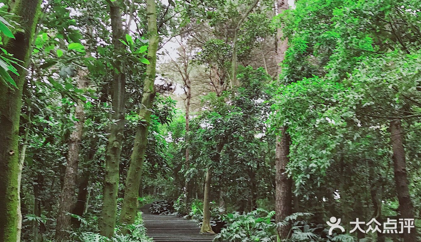 周末放假肯定要去逛公园呀