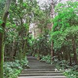 周末放假肯定要去逛公园呀