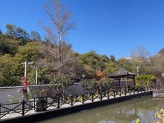 -荷塘味道(水长城店)