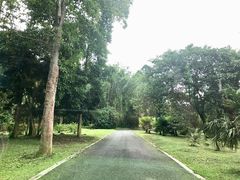 -中国科学院西双版纳热带植物园