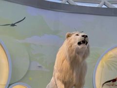 -陕西自然博物馆