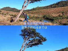 -霍顿平原国家公园
