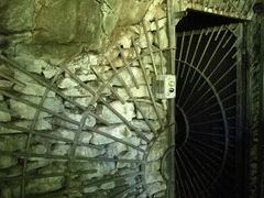 -怀托摩萤火虫洞