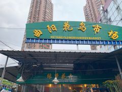 -曲阳花鸟市场(曲阳路店)