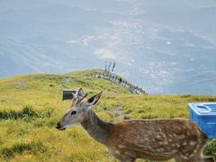 -萍乡武功山风景名胜区