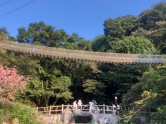 -南丹山森林王国