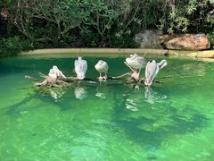 -珠海长隆海洋王国