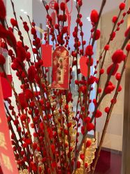 -丽美妍医疗美容·皮秒·立体分层抗衰