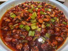-巴特餐饮6加1音乐餐吧·新疆菜