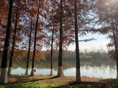 -南京工程学院(江宁校区)