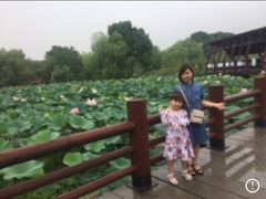-长兴太湖图影湿地文化园