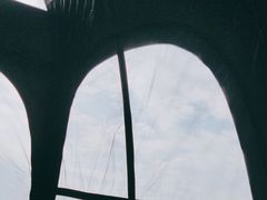 -丁香湖公园