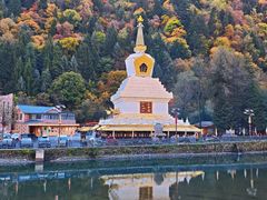 -金鼎雪山牦牛杂火锅(理县总店)