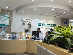 -美联众合动物医院·24h转诊中心