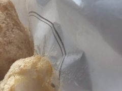 -马打滚