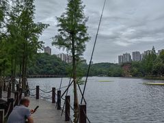 -重庆彩云湖湿地公园
