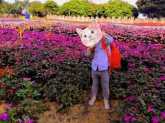 -松山湖梦幻百花洲
