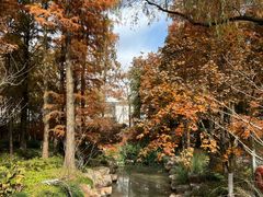 -上海共青森林公园