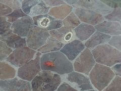 -中家鑫园温泉酒店鑫悦汤泉