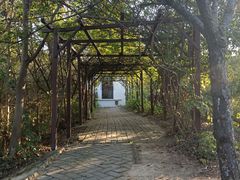 -武汉紫薇都市田园