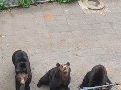 -大连森林动物园