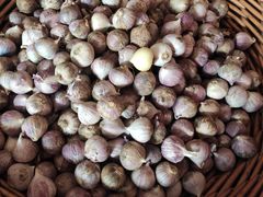 -瑶王府·广西菜(金阳路店)