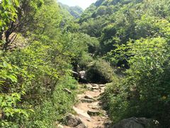 -抱龙峪