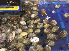 -东江海鲜酒家(艺都分店)