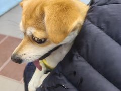 -联合动物医院(光谷诊疗中心)