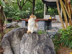 -云龙山