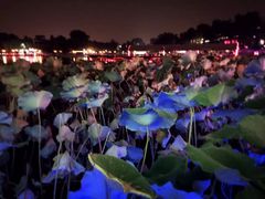 -小王府(什刹海店)