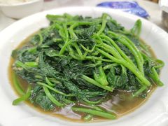 -巫记鸡饭店