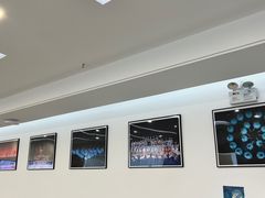 -中央芭蕾舞团·中芭艺蕾(酒仙桥明星校区)