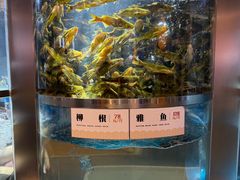 -老船舫·现做活鲜鱼馆(东郊记忆店)