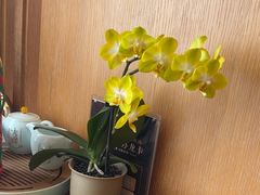 -观海海鲜(松山湖卓为城店)