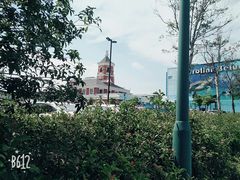 -芜湖新华联大白鲸海洋公园