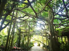 -广西壮族自治区药用植物园