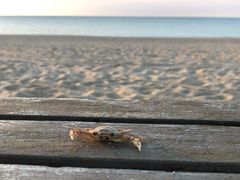 -那香海钻石沙滩浴场