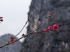-钟山水墨田园