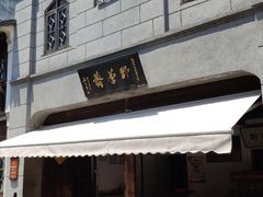 -野荸荠