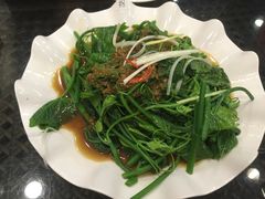 白灼丝瓜尖-东四民芳餐厅(世茂工三店)