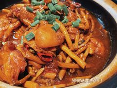 茶树菇黄油鸡丁-尚上座