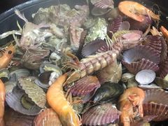 -大锅强·蒸海鲜青岛菜(吾悦广场店)