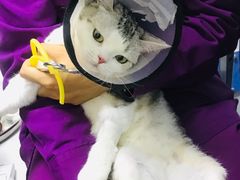 -达爱动物医院·犬猫分区·CT·复杂眼科(远洋山水分院)