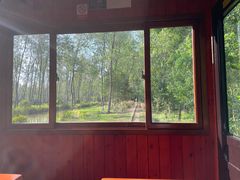 -合肥滨湖国家森林公园