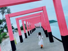 -漳州滨海火山岛自然生态风景区